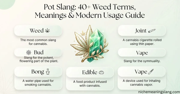 40+Pot Slang Weed Terms, Meanings & Modern Usage Guide