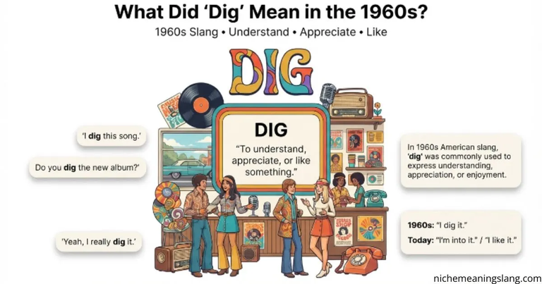 What Does Dig Mean in the 1960s