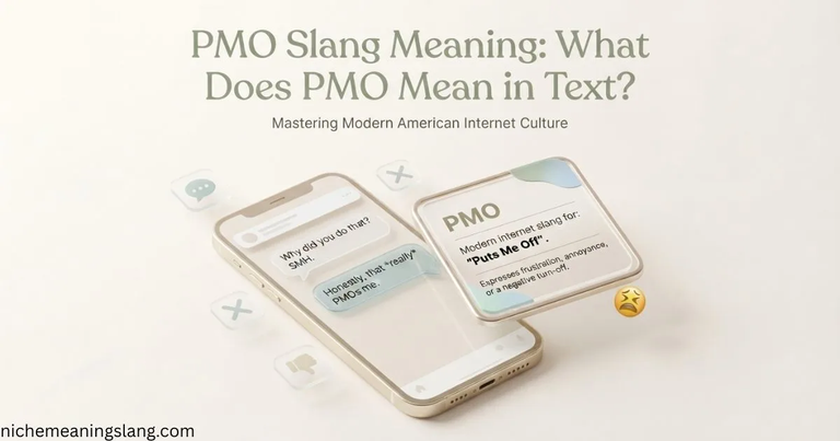 PMO Slang Meaning What Does PMO Mean in Text?