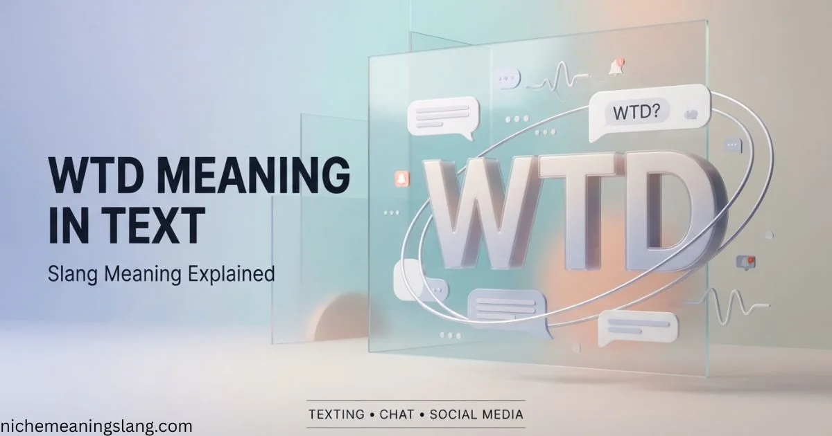 WTD Meaning Slang What Does WTD Mean in Text?