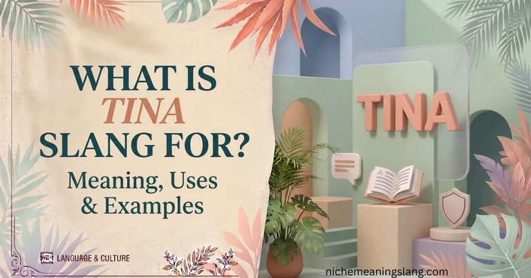 What Is Tina Slang For? Meaning, Uses & Examples